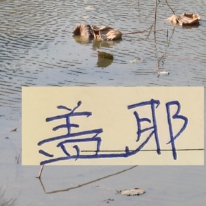 开云体育下载-像一堵墙的盖伊 会是申花的卢卡库 还是升级版马莱莱